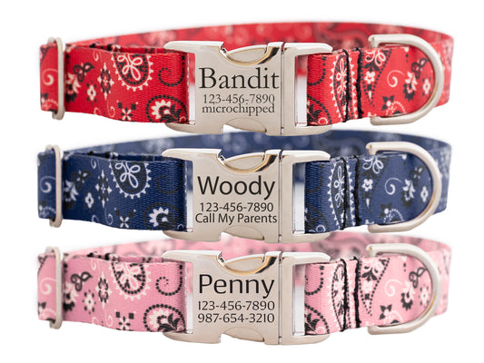 Western Bandana Dog Collar in Red, Navy, and Pink